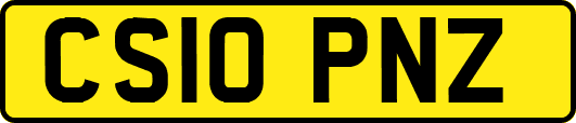 CS10PNZ