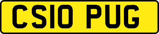 CS10PUG