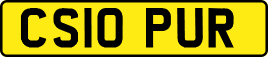 CS10PUR
