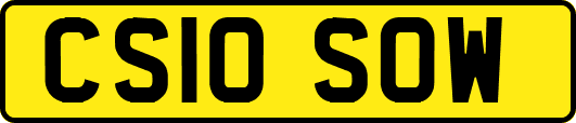 CS10SOW