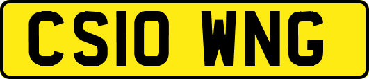 CS10WNG