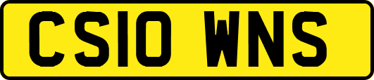 CS10WNS
