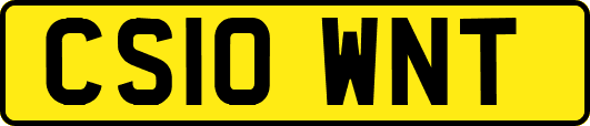 CS10WNT