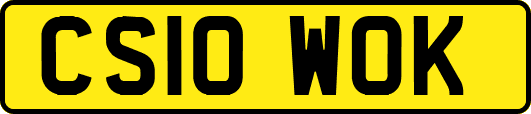 CS10WOK