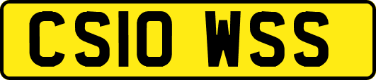 CS10WSS