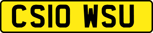 CS10WSU