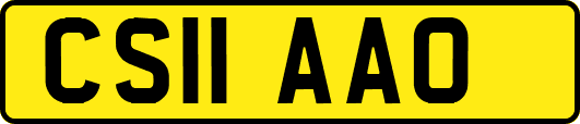 CS11AAO