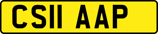 CS11AAP