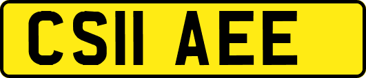CS11AEE