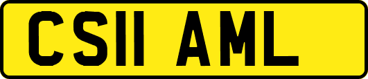 CS11AML