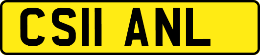 CS11ANL