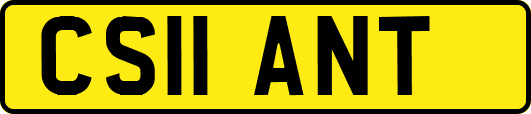CS11ANT