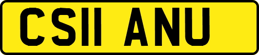 CS11ANU