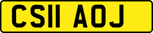 CS11AOJ