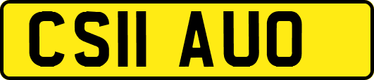 CS11AUO