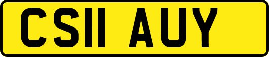 CS11AUY