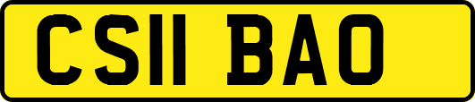 CS11BAO