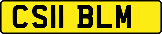 CS11BLM