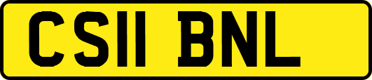CS11BNL