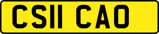 CS11CAO