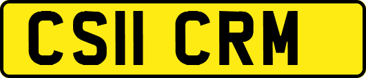 CS11CRM