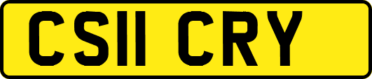 CS11CRY