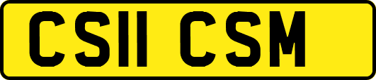 CS11CSM
