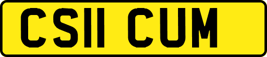 CS11CUM