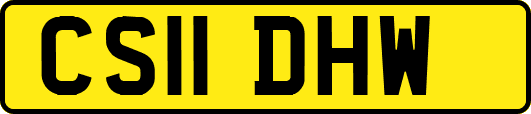 CS11DHW