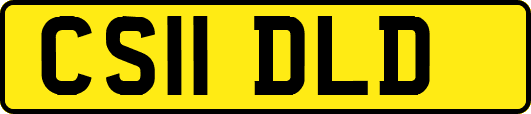 CS11DLD