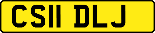 CS11DLJ