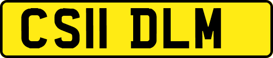 CS11DLM
