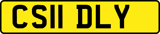 CS11DLY