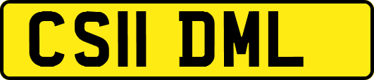 CS11DML