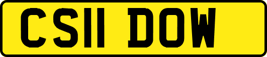 CS11DOW