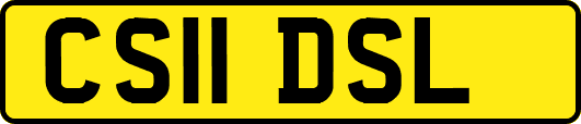 CS11DSL