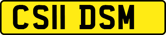 CS11DSM