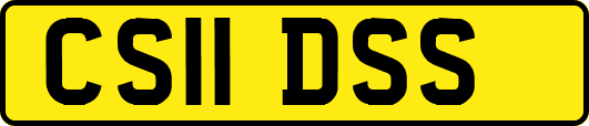CS11DSS