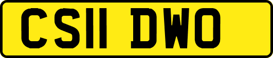 CS11DWO