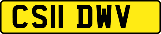 CS11DWV