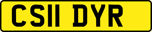 CS11DYR
