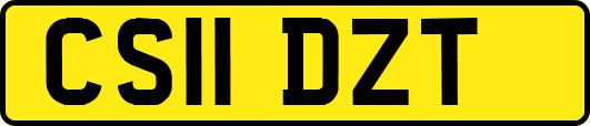 CS11DZT
