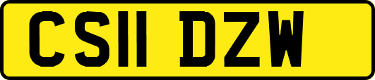 CS11DZW