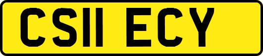 CS11ECY