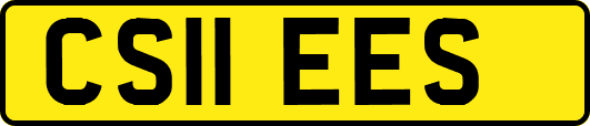 CS11EES