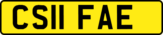 CS11FAE