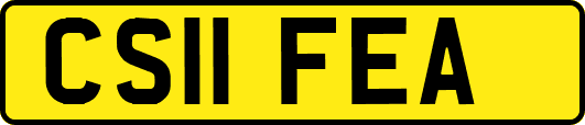 CS11FEA