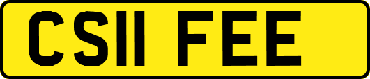 CS11FEE