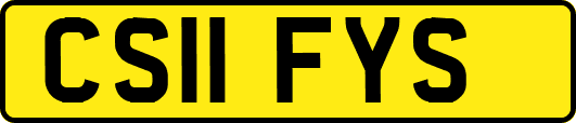 CS11FYS