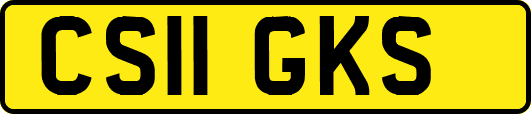 CS11GKS
